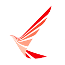 Ruili Airlines logo