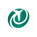 Emerald Airlines logo